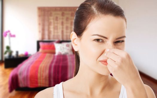How to Eliminate Foul Apartment Odors- Ann Arbor Apartments managed by CMB Mi